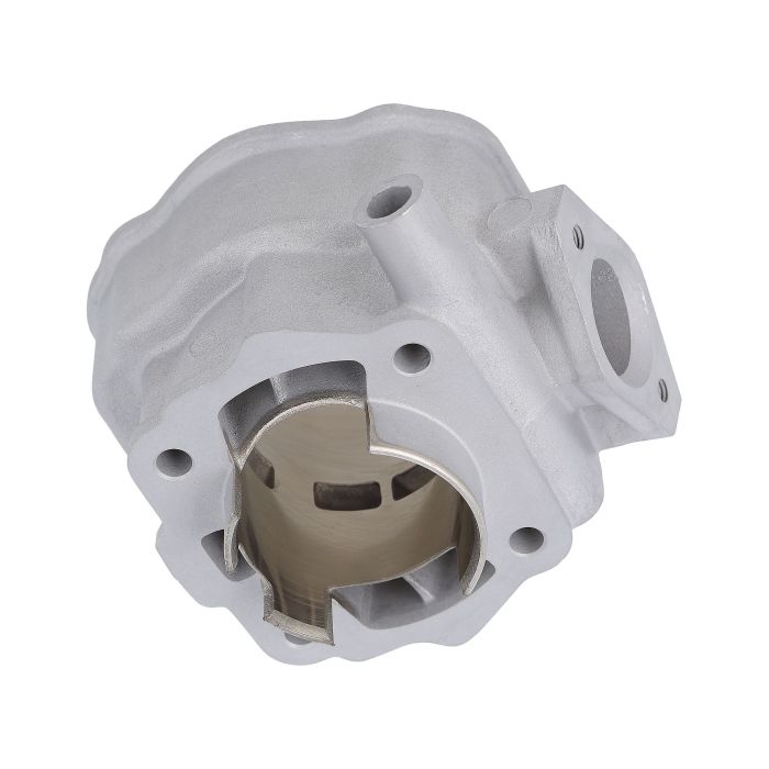 Airsal - T6 Racing 80cc - Derbi LC