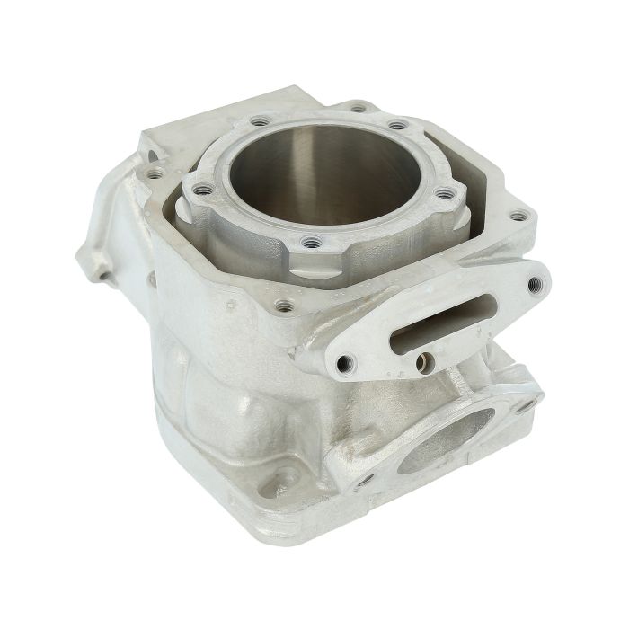 Polini - Sylinderkit - Rotax 123/122