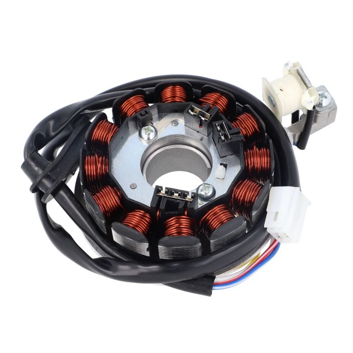 Elec - Stator 12 Pol - Am6