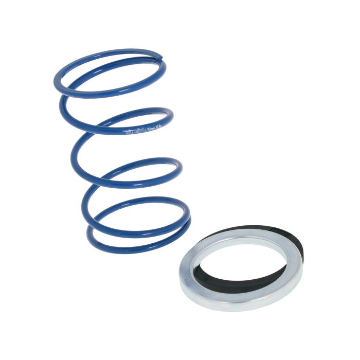 Polini - Hi-Speed Variator - Piaggio fra 2000