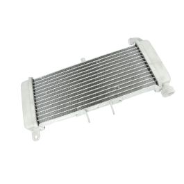 Aprilia/Derbi/Gilera - Radiator - 8673345