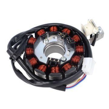 Elec - Stator 12 Pol - Am6