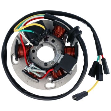 RMS - Stator m/plate - Derbi/Piaggio