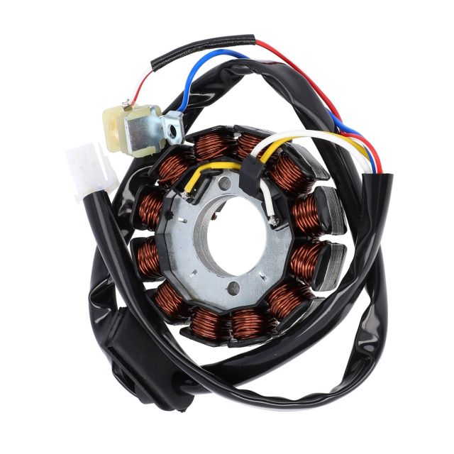 Teknix - Stator 12 Pol - Am6