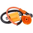 Elec - Tennspole racing - Minarelli